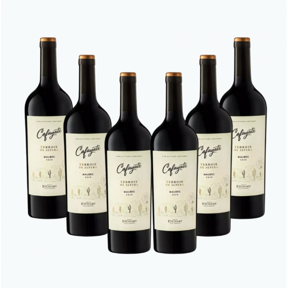 Cafayate tinto x6